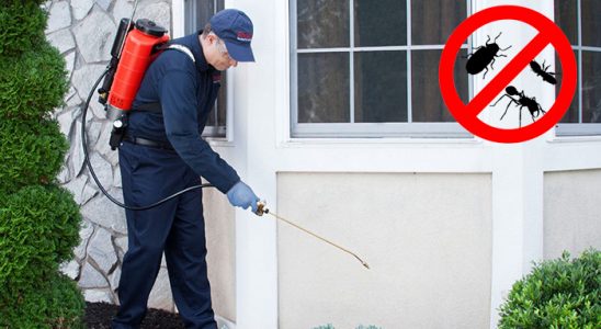 İvrindi Dezenfeksiyon böcek ilaçlama ve haşere kontrolü — ilaclama-tr.com